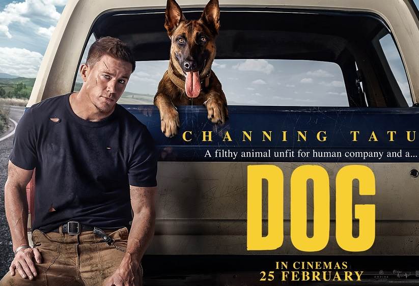 Dog (2022) Tamil Dubbed(fan dub) Movie HDRip 720p Watch Online
